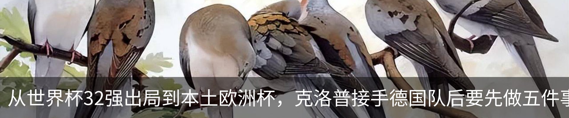 行业资讯