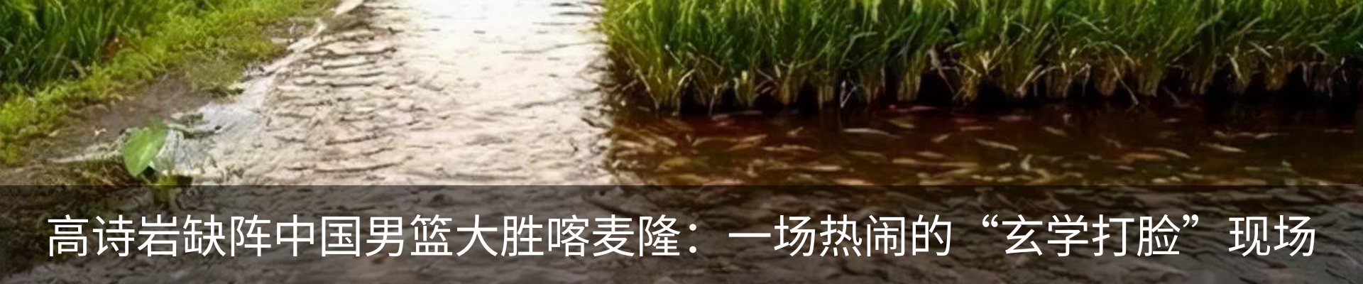 行业资讯